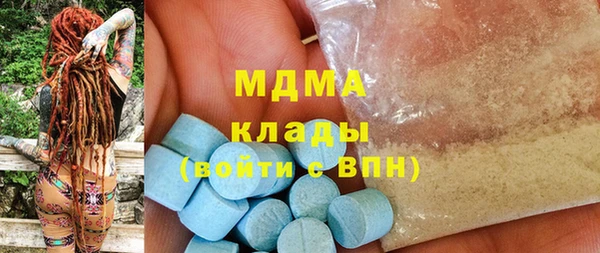 индика Нягань