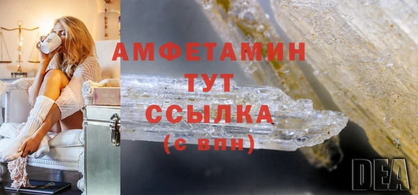 индика Нягань