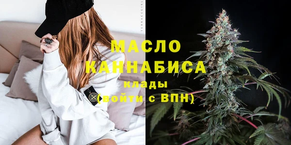 индика Нягань