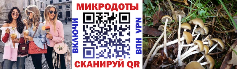Галлюциногенные грибы мицелий Каргополь